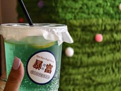 -有喵·猫咖·狗咖·40+猫狗有小奶狗(岗厦店)