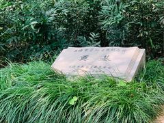 -静安公园(静安寺街道)