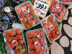 -百果园PAGODA(应元路店)