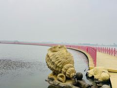 -金沙湖旅游度假区