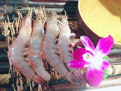 -小牛哈尼章鱼水煎肉(金鹰店)