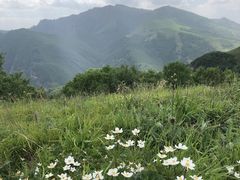 -灵山