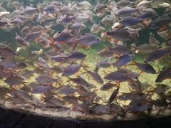 -多彩贵州城极地海洋世界