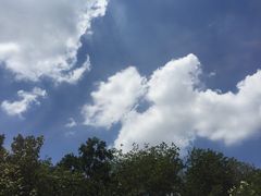 -南京市凤凰花园城小学