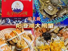 -阳澄湖大闸蟹·琼灵阁牌品牌连锁(吴中总店)