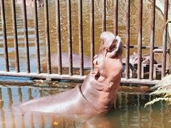 -海南热带野生动植物园