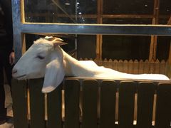 -上海大自然野生昆虫馆