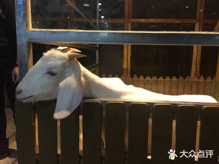 上海大自然野生昆虫馆图片