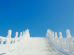 android_upload_pic-金卉庄园