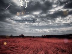 -良渚古城遗址公园