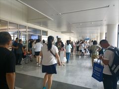 -首都医科大学附属北京天坛医院