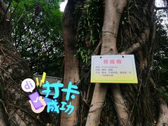 -晓港公园
