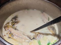 豆浆竹笙煮桂鱼-佬麻雀·新湘菜(珠海金发购物中心店)