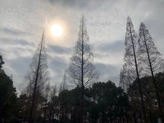 -宝岩生态观光园