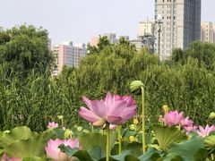 -太阳宫公园