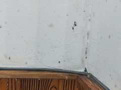 -六六火锅串串香(黄杨路)