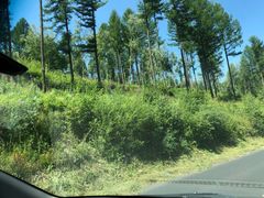 -塞罕坝国家级自然保护区