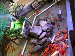 -向阳庄烧烤店(望京西园店)