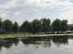-大理洱源西湖景区