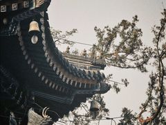 -香山公园