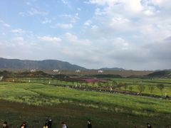 -光明小镇欢乐田园