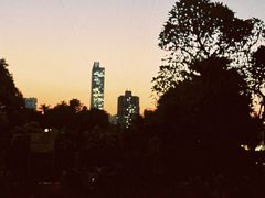 -晓港公园