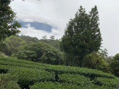 -七娘山