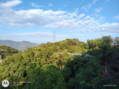 -金鸡山公园
