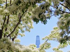 -泰丰公园