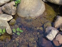 -福清灵石山国家森林公园
