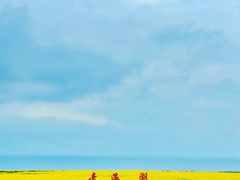 -青海湖国家重点风景名胜区