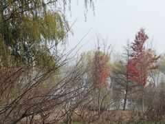 -昌顺马记小吃店(昌盛园店)