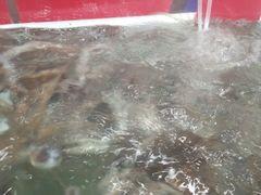 -四海鲜渔家菜(黄金海岸店)