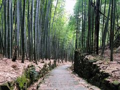 -会稽山峡洞漂流-上青古道