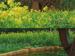 -长春公园(普阳街道)