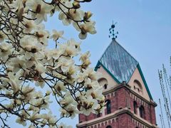 -天津五大道文化旅游区