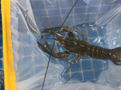 -星记小馆·小蓝龙·老南京砂锅菜(上海路店)