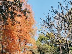 -广州兰圃