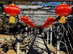 -红螺寺
