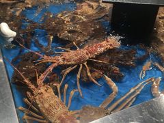 -盒马鲜生(悠方店)