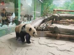 -灵玲国际马戏城