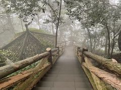 -綦江古剑山