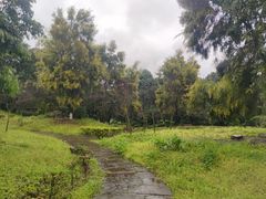 -张坝桂圆林公园