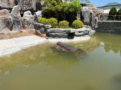 -青岛森林野生动物世界