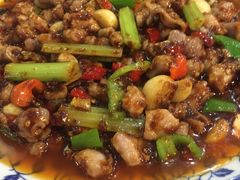 泡椒脆肚-山城酒家(燕山路店)