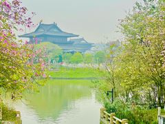 -海珠湖公园
