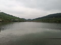 鱼塘-南江大塘鱼庄