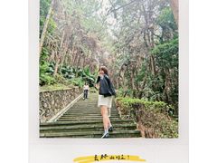 -铁山坪森林公园