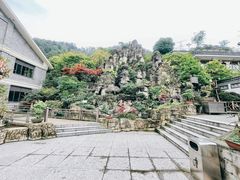 -老幺泉水鸡