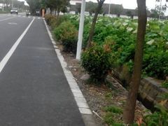 -上海交通大学医学院附属仁济医院(南院)